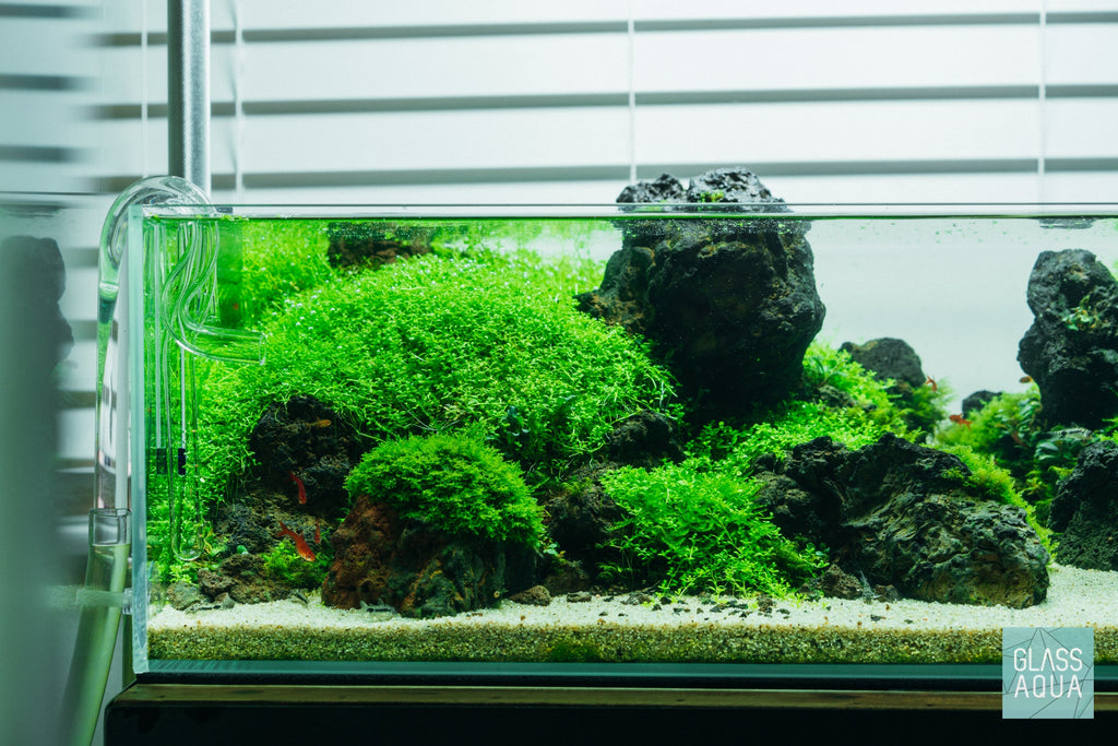 Rimless Shallow Aquarium Tank, Low-Iron Open-Top Design for Planted or Reef Aquascapes from 0.5 to 68.4 Gallons source image 3