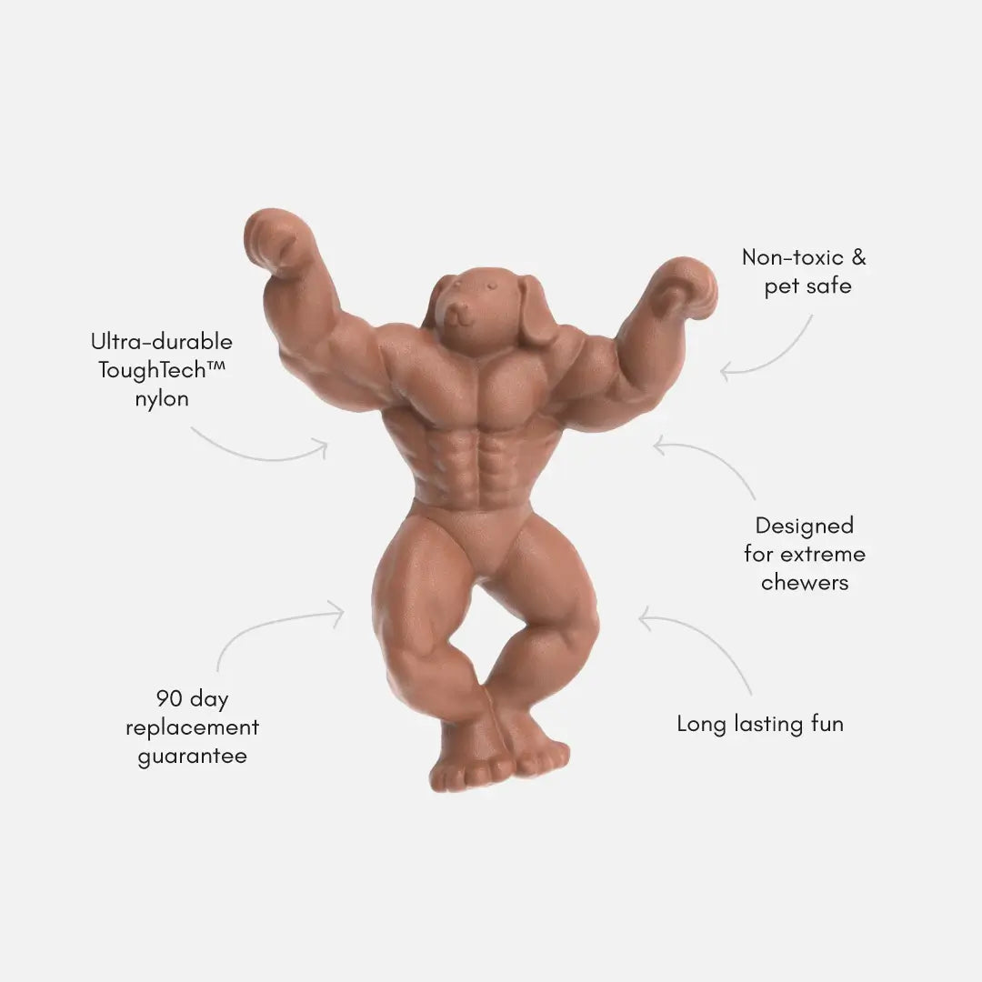 Nylon Dog Chew Toy with a Textured Solid Body, Squeaker-Free Enrichment for Supervised Power Chewing source image 3