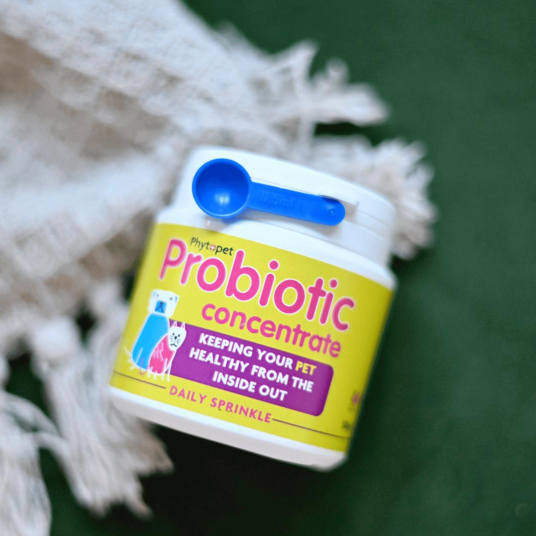 Concentrated Probiotic Powder for Dogs, Gluten-Free Daily Digestive Supplement in a 100 g Tub source image 3