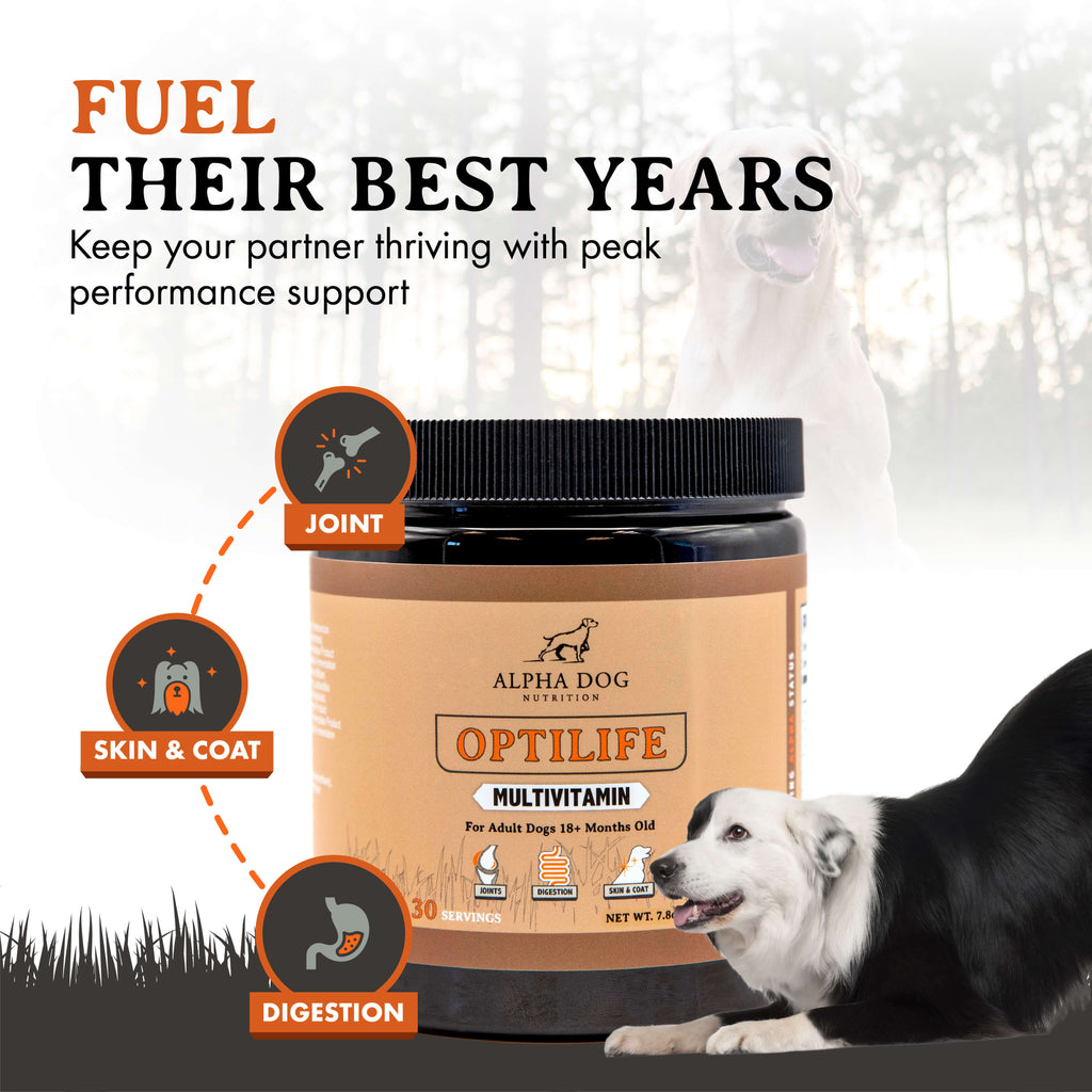 Whole-Food Adult Dog Multivitamin Powder for Daily Joint, Digestion, Immune and Skin Support source image 3