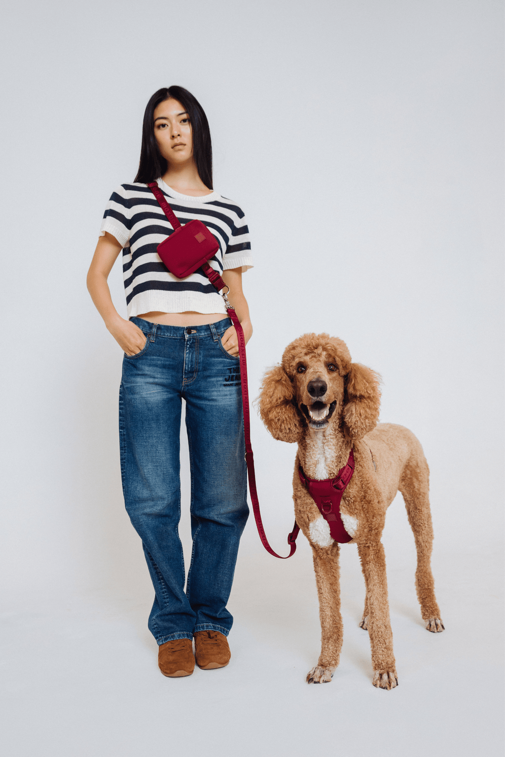 Hands-Free Dog Walking Set for Waist or Shoulder Wear, Neoprene Harness and Compact Pouch Bundle source image 3