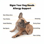 Dog Itch and Allergy Support Chews for Skin and Immune Response, Offered in One- to Six-Pack Quantities source image 3