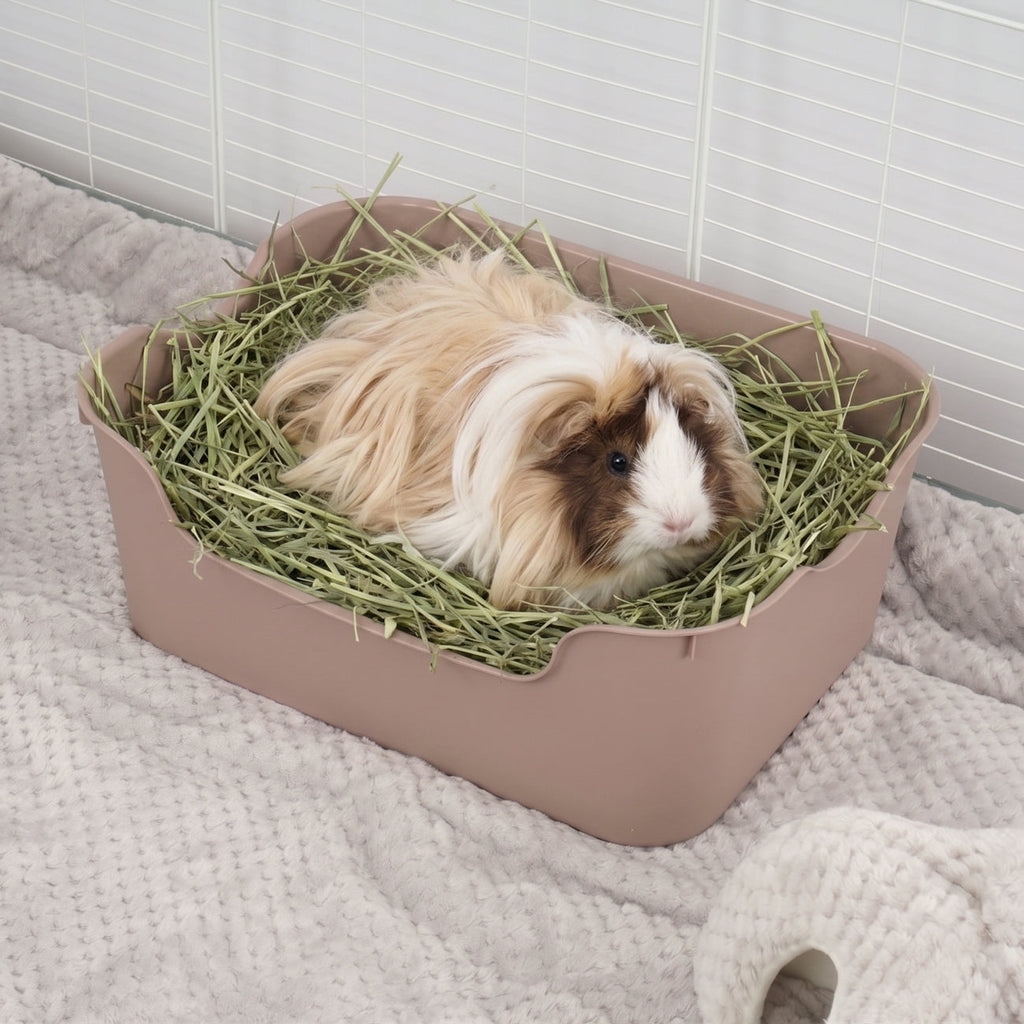 Small Animal Litter Box for Guinea Pigs and Rabbits, High-Sided Low-Entry Design in Five Colors source image 3