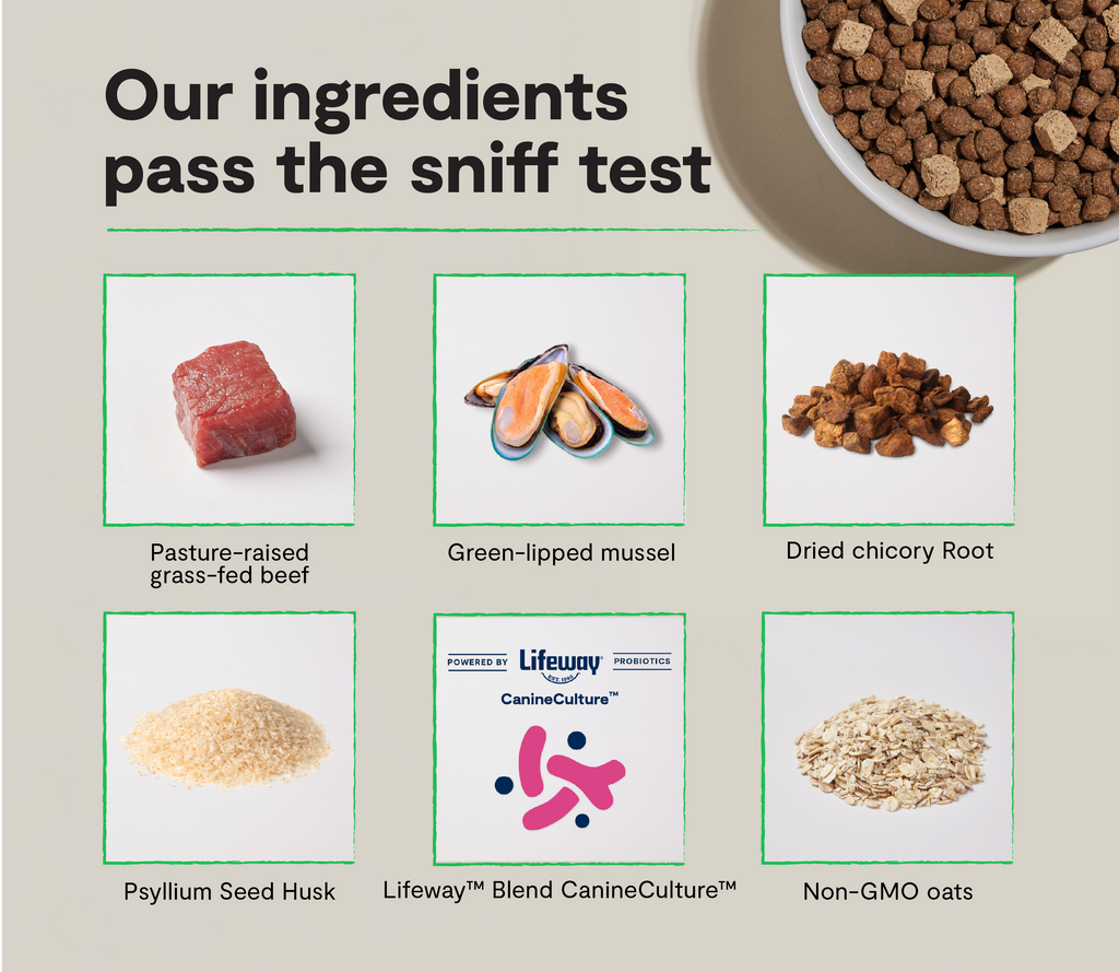 Grass-Fed Beef Dog Kibble with Freeze-Dried Raw Cubes and Probiotics, Complete Recipe for All Life Stages source image 3