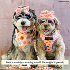 Reversible Floral Dog Harness in Water-Repellent Neoprene, Flexible Everyday Fit from XS to XL source image 3