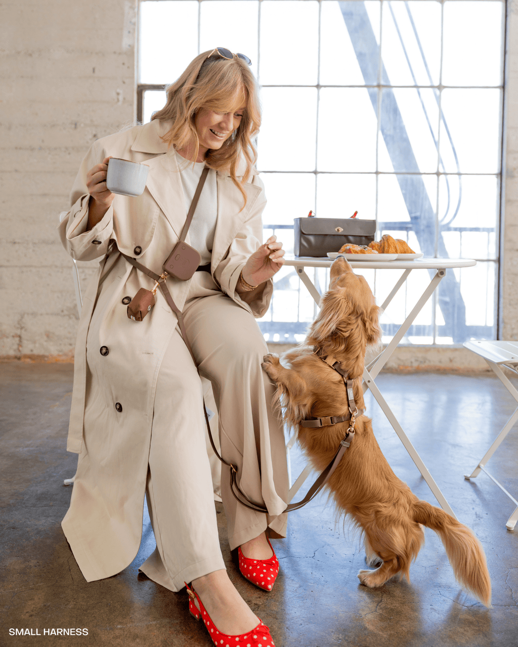 Hands-Free Dog Leash in Espresso Brown, Four Convertible Carry Modes in Standard and Wide Widths source image 3