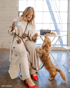 Hands-Free Dog Leash in Espresso Brown, Four Convertible Carry Modes in Standard and Wide Widths source image 3