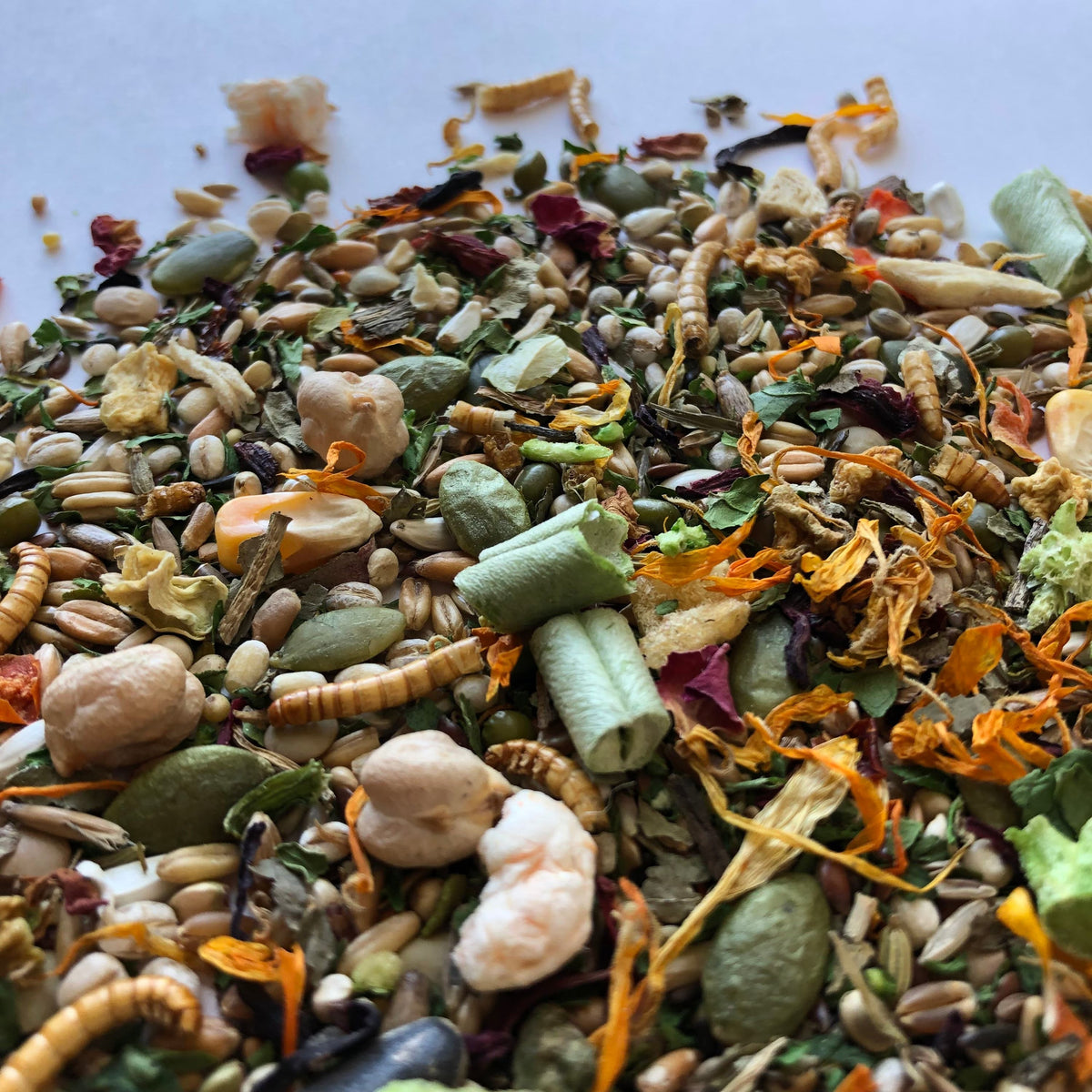 Syrian Hamster Food Mix, Age-Specific Young and Adult Recipes Featuring Seeds, Grains and Insects source image 3