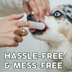 Dog Dental Cleaning Gel for Brush-Free Daily Oral Care, Two-Month Kit in Single and Multi-Pack Sizes source image 3