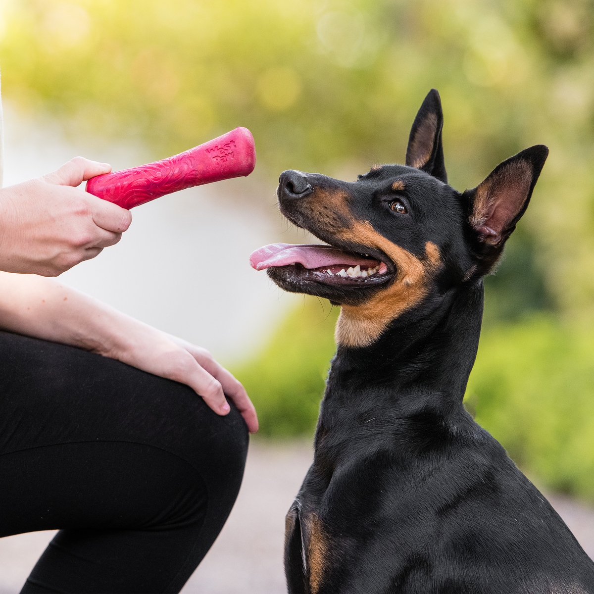 Recyclable Bone-Shaped Dog Toy for Moderate Chewers, Dishwasher-Safe Seaflex Design in Two Sizes source image 3