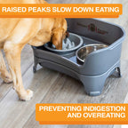 Slow Feeder Dog Bowl, Nine-Peak Non-Skid Two-Cup Design for Flat-Faced and Fast-Eating Dogs source image 3