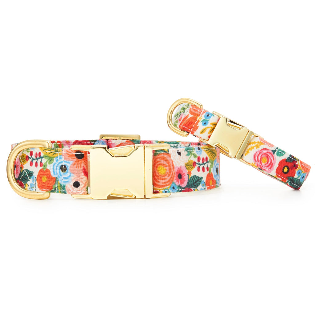 Garden Party Floral Cotton Dog Collar, Reinforced Webbing and Brass D-Ring in Four Adjustable Neck Sizes source image 3