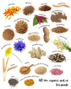 Organic Hamster and Gerbil Food Mix, 1 lb Blend of Seeds, Grains, Legumes and Tea-Grade Flowers source image 3