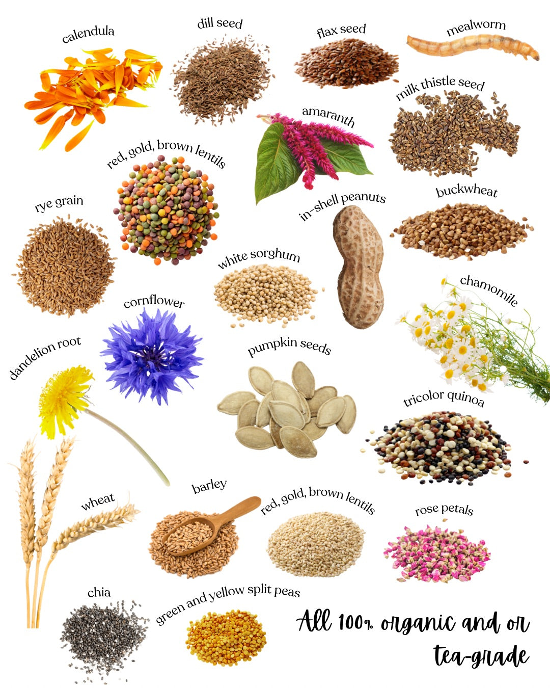 Organic Hamster and Gerbil Food Mix, 1 lb Blend of Seeds, Grains, Legumes and Tea-Grade Flowers source image 3
