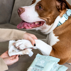 Bamboo Pet Grooming Wipes for Dogs and Cats, Aloe Vera and Chamomile Formula in Travel and Premium Packs source image 3