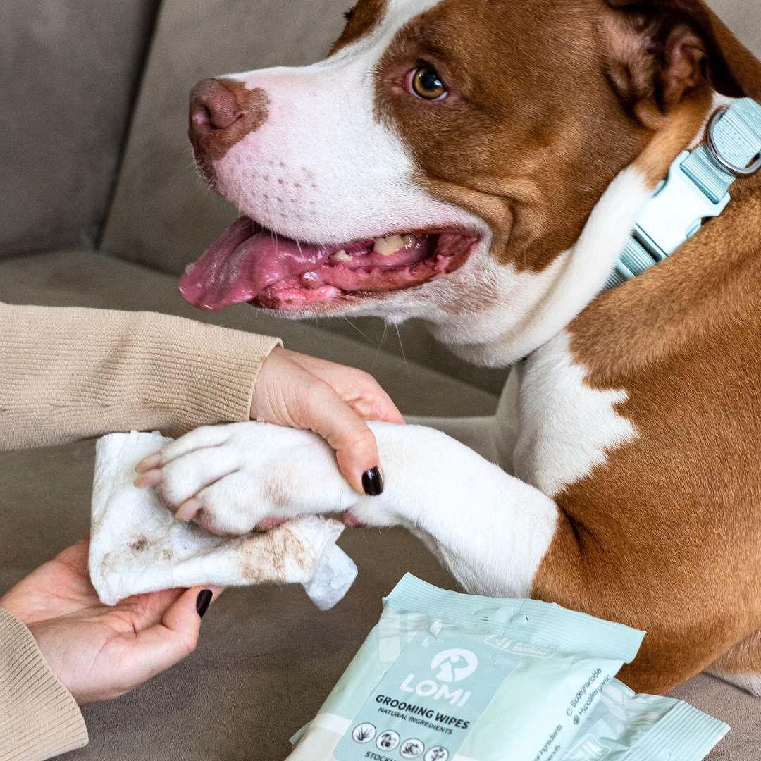 Bamboo Pet Grooming Wipes for Dogs and Cats, Aloe Vera and Chamomile Formula in Travel and Premium Packs source image 3