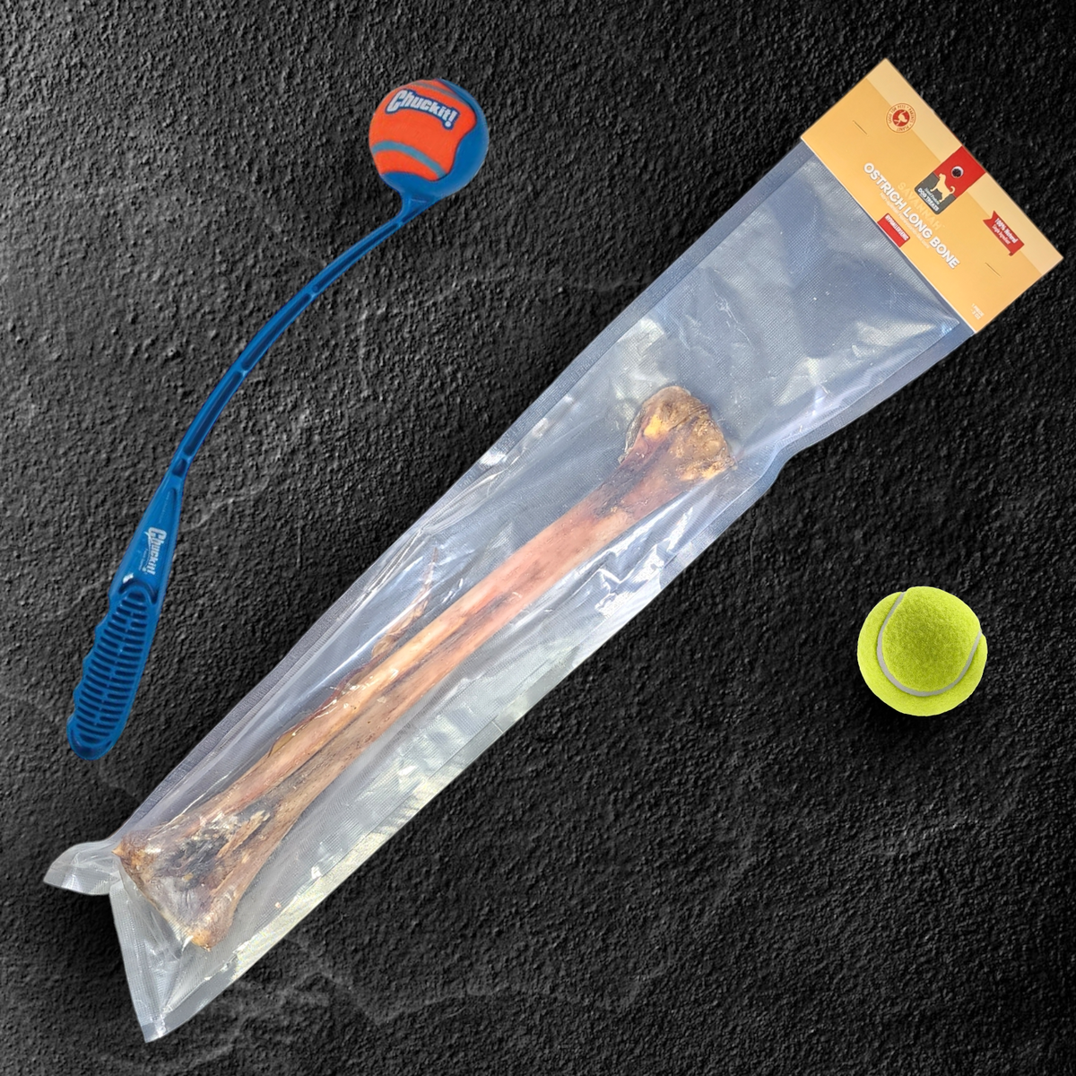 Ostrich Long Bone Dog Chew, Oversized 19 x 3.5 Inch Treat for Medium, Large and Extra-Large Dogs source image 3