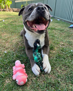 Nylon Dog Chew Toy Shaped Like a Sea Creature, Firm Playtime Design for Enthusiastic Chewers source image 3