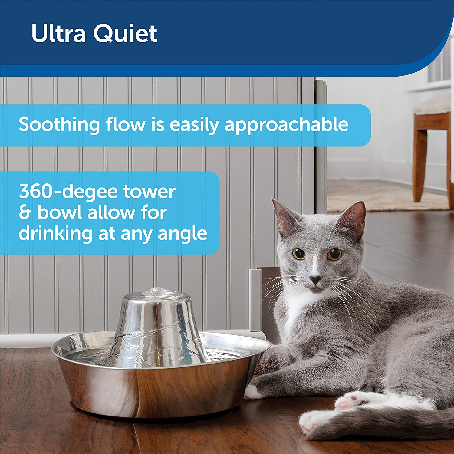 60 oz Stainless Steel Pet Water Fountain with Dual Filters and Quiet Bubbling Flow for Cats and Small Dogs source image 3