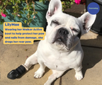 Non-Slip Dog Walking Boots, Two-Piece Paw Protection Pair with Reflective Strips and Secure Velcro Fit source image 3