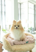 Convertible Dog Snuggle Sac and Travel Bed, Plush Cuddle Cup or Blanket in Two Sizes and Twelve Colors source image 3