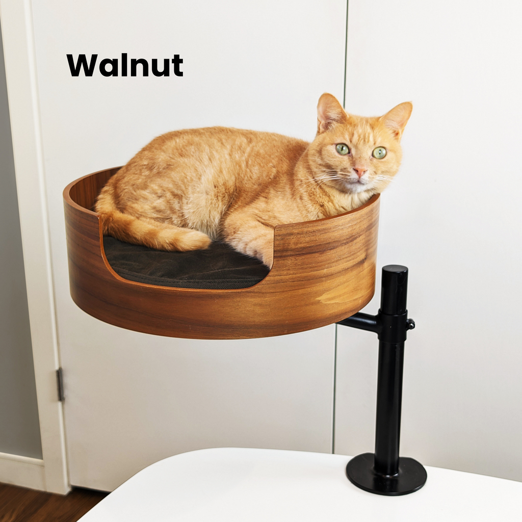 Desk-Mounted Cat Bed for Workspaces, Elevated Single or Double Nest in Walnut and White Oak Finishes source image 3