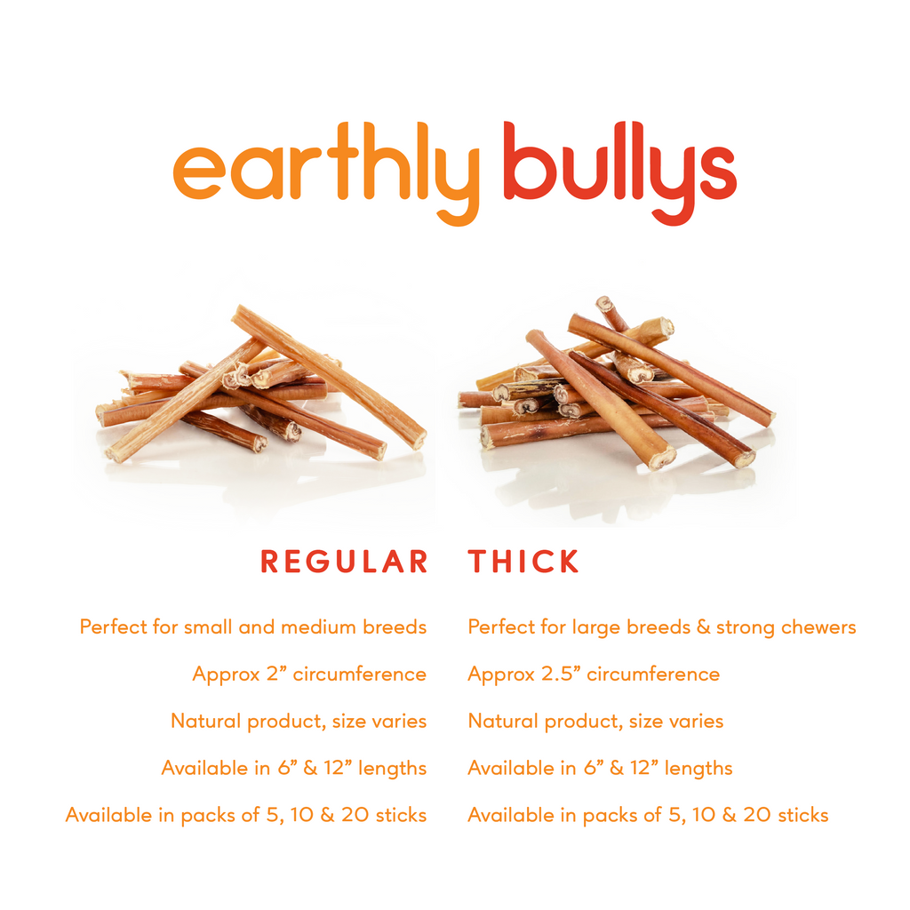 Maplewood Smoked Bully Stick Dog Chews Slow-Smoked for 72 Hours for Long-Lasting Flavorful Chewing product image 3