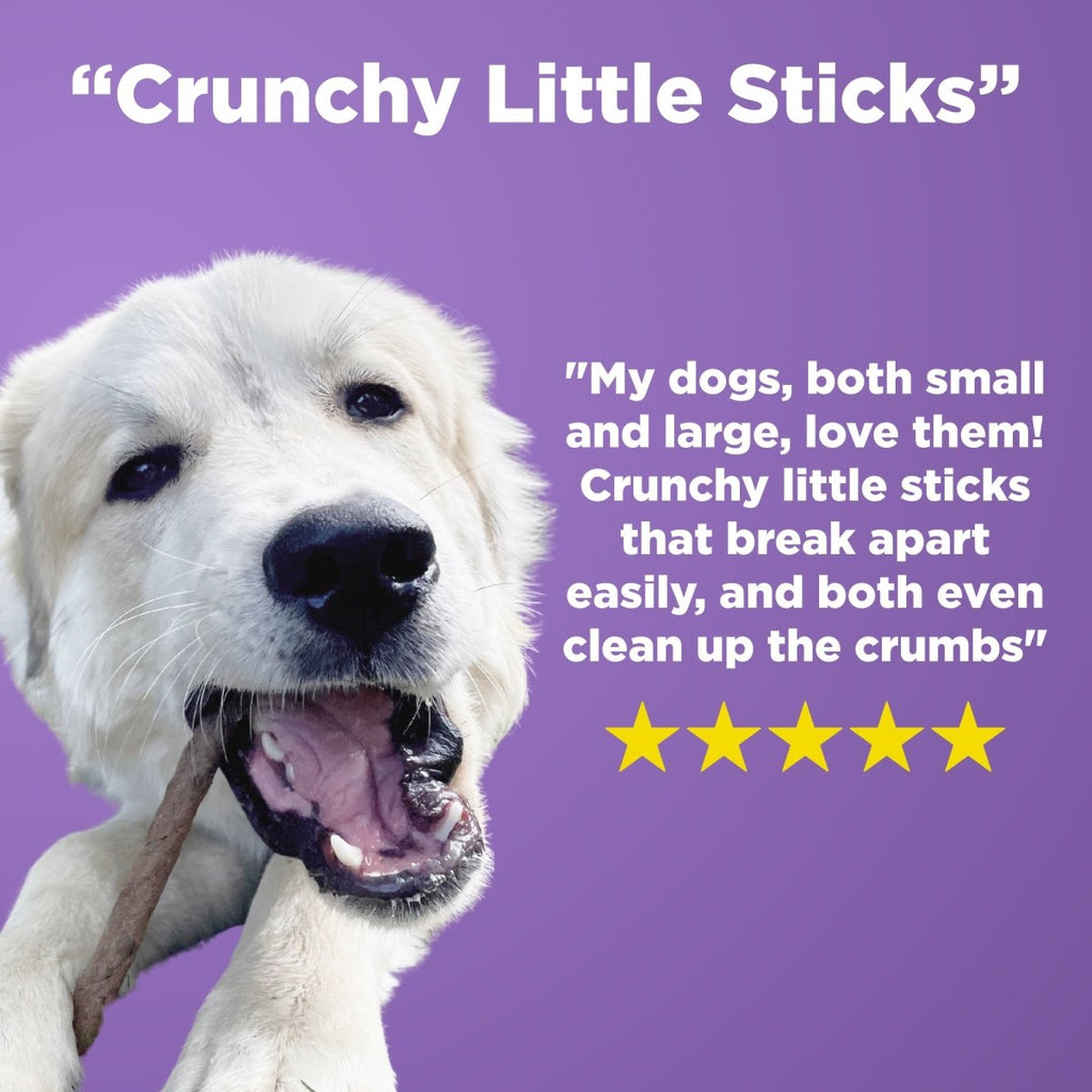 A large white dog chews on a stick, while a customer gives Best Bully Sticks' Bully Snack Sticks Medium a five-star review, calling them the best crunchy chews—all against a bold purple background.