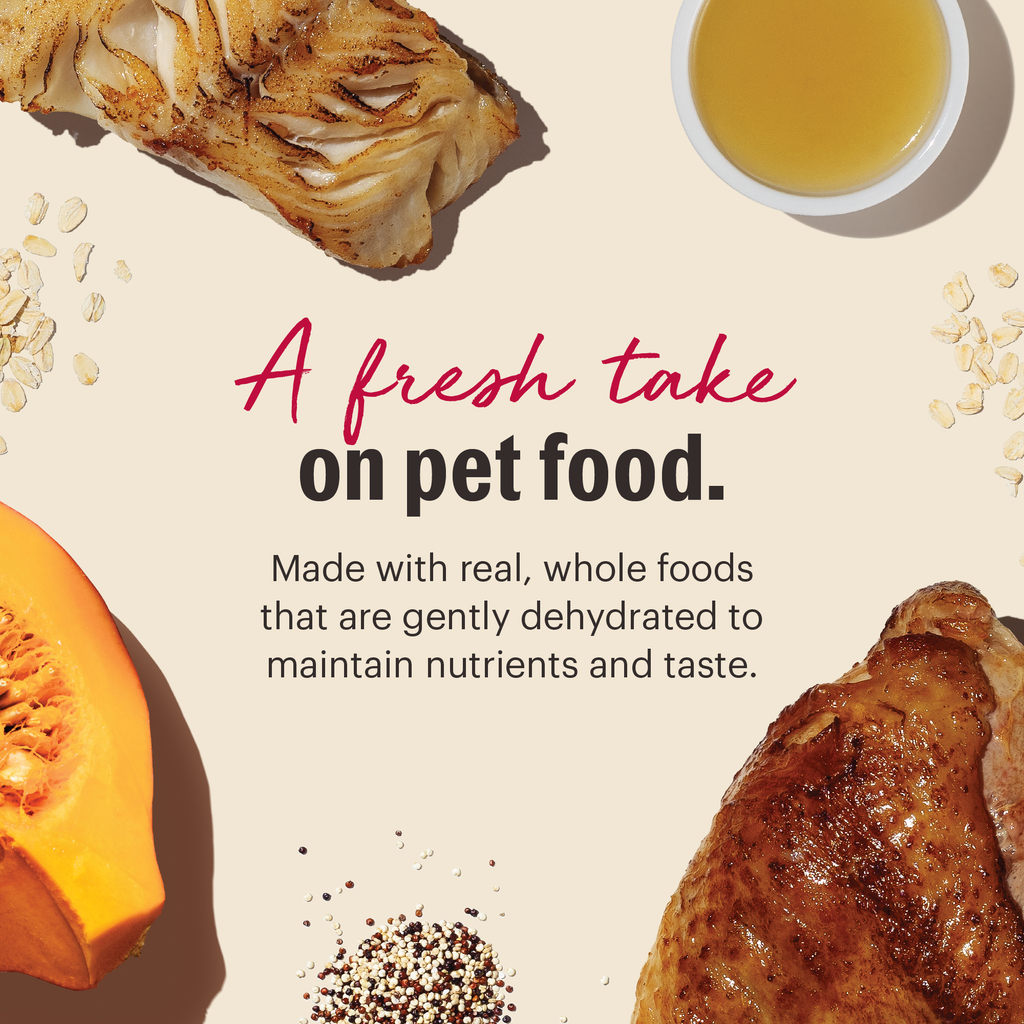 Whole Grain Turkey & Fish dehydrated dog food from The Honest Kitchen