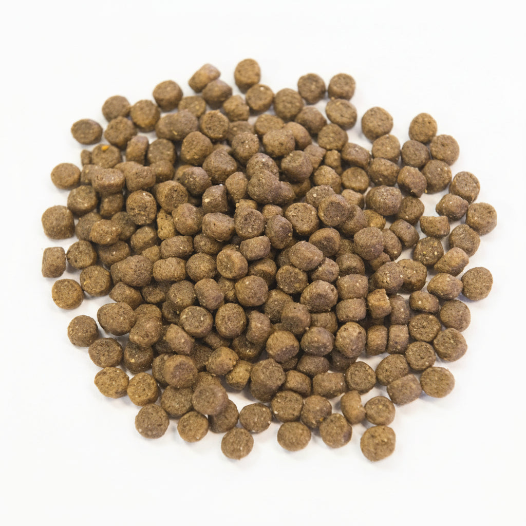 Grain-Free Salmon Dry Dog Food product image 3