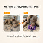Frozen Sunflower Dog Toy for Licking and Chewing, Large Treat-Fillable Design in Three Bright Colors source image 3