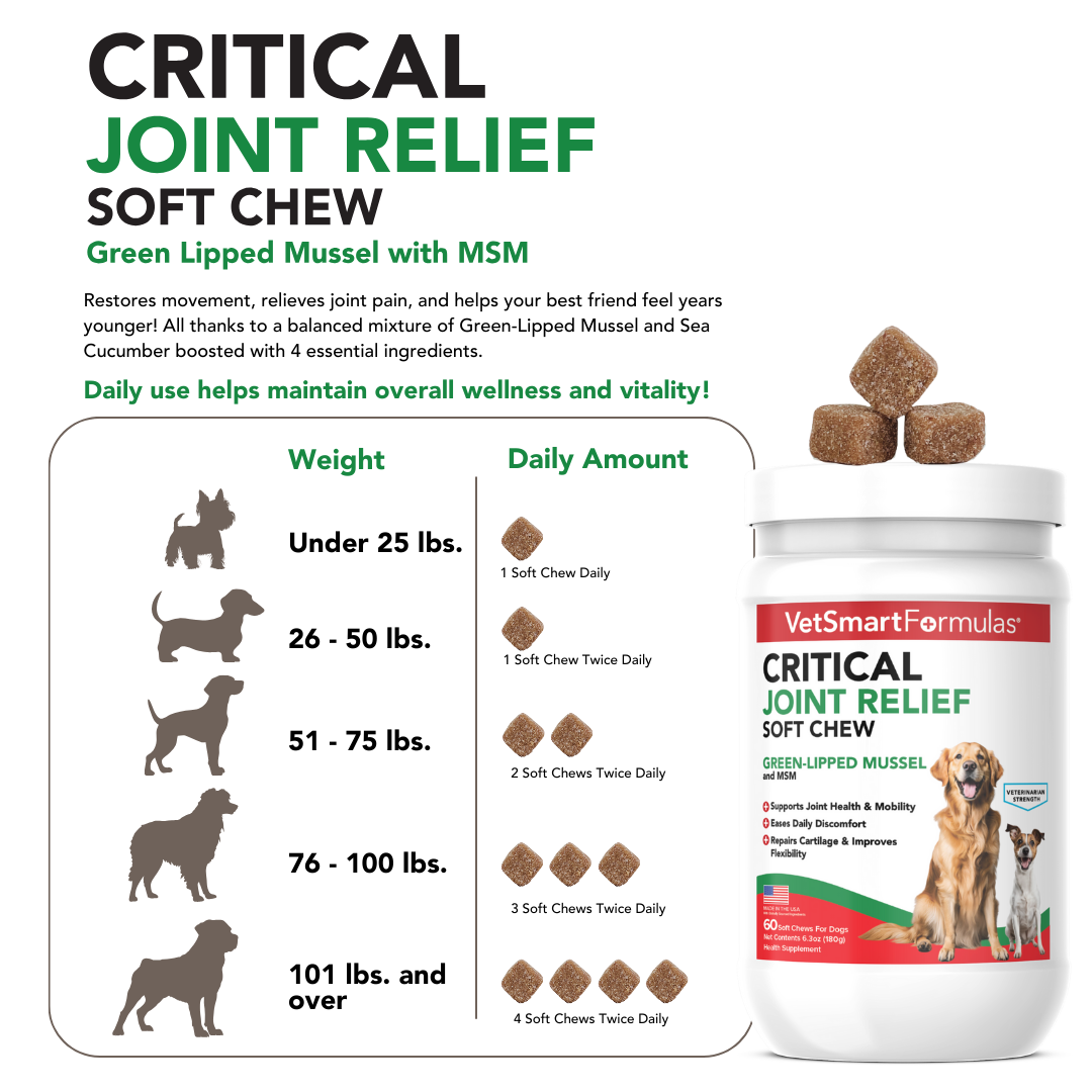 Dog Joint Support Chews for Daily Mobility Care, 90-Day Bottle for Adult Dogs and Active Senior Companions source image 3
