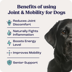 Large Dog Joint Supplement in Weekly Liquid Doses for Dogs Over 75 lb, Offered as Single and Multi-Box Packs source image 2