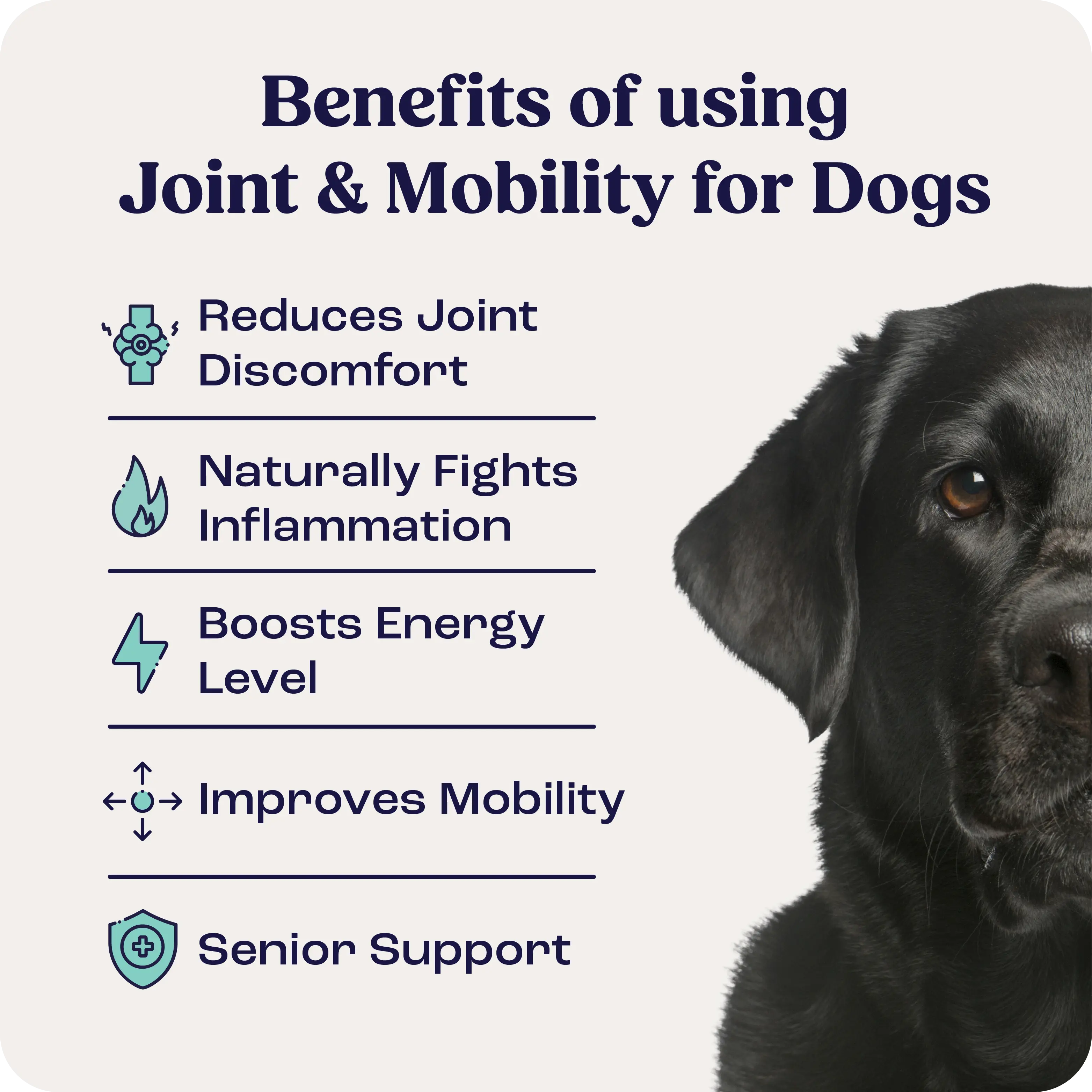 Large Dog Joint Supplement in Weekly Liquid Doses for Dogs Over 75 lb, Offered as Single and Multi-Box Packs source image 2