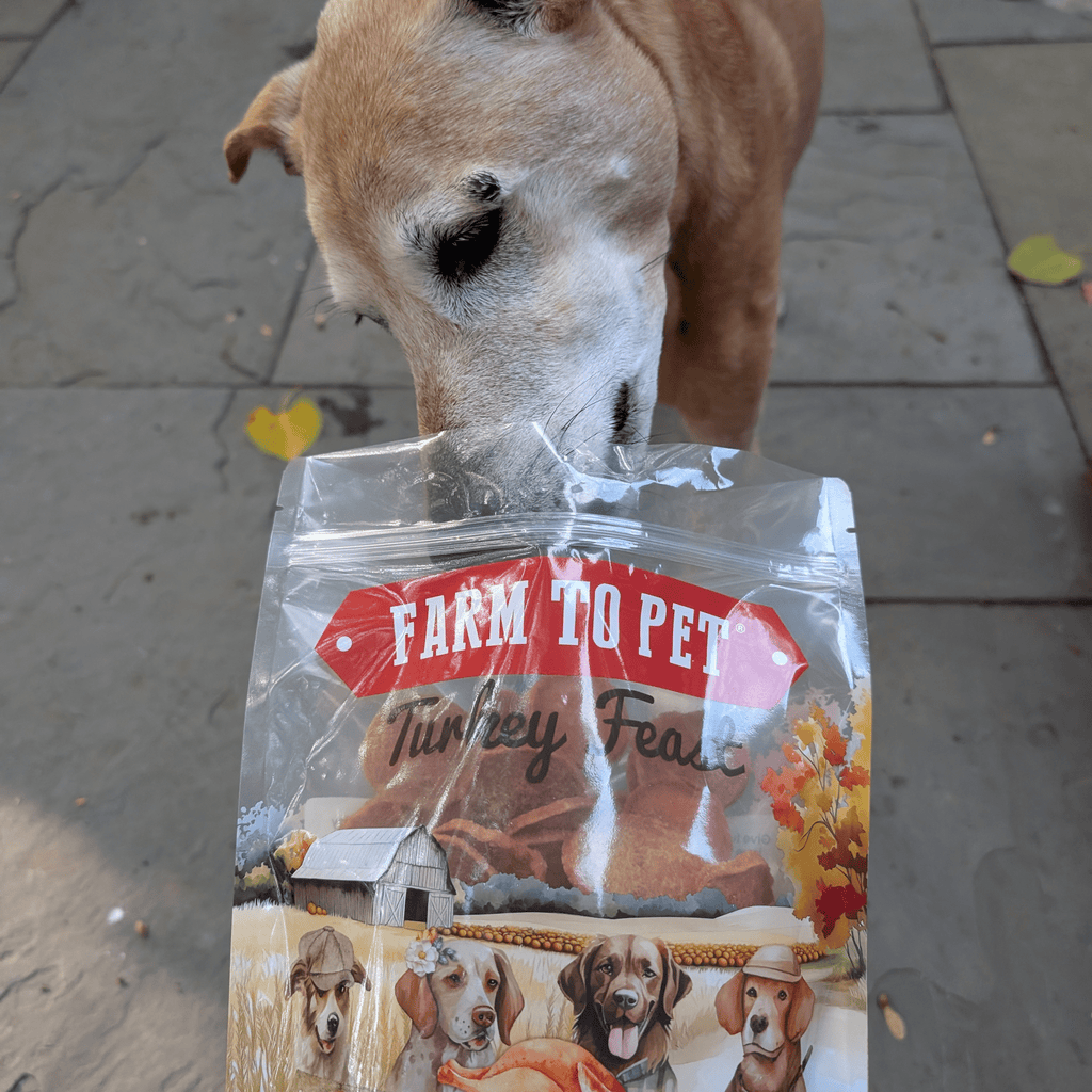 Turkey Breast Chip Pet Treats product image 3