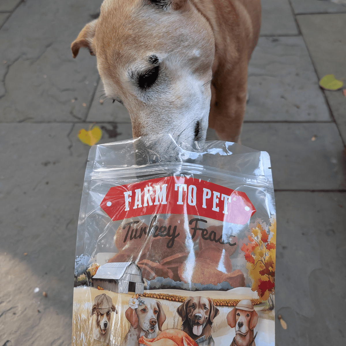 Turkey Breast Chip Pet Treats product image 3