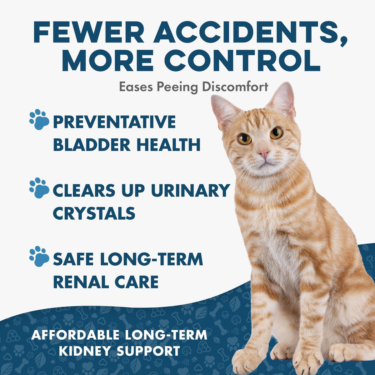 Cat Urinary and Kidney Support Tablets product image 3