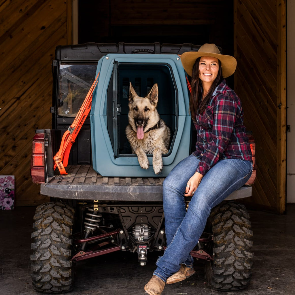 Dog Travel Kennel product image 3