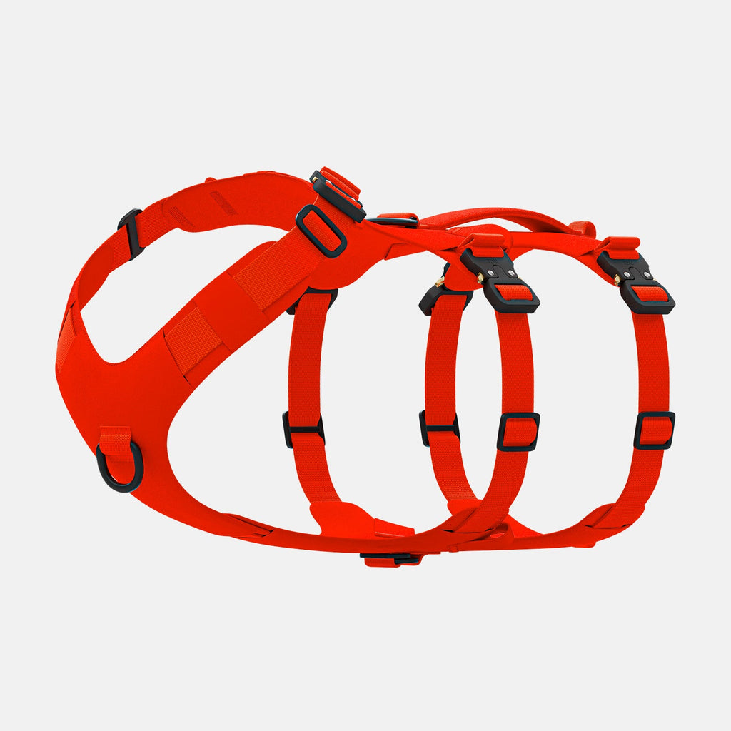 Crash-Tested Dog Travel and Trail Harness product image 3