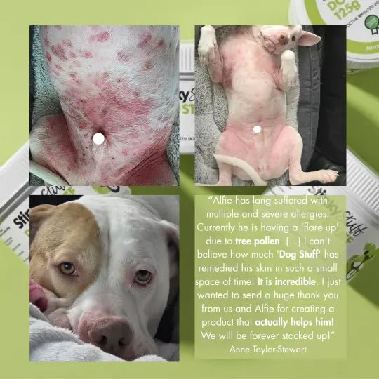 Natural Dog Skin Balm product image 3