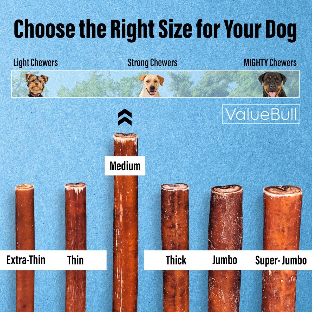 Medium Bully Stick Dog Chews product image 3