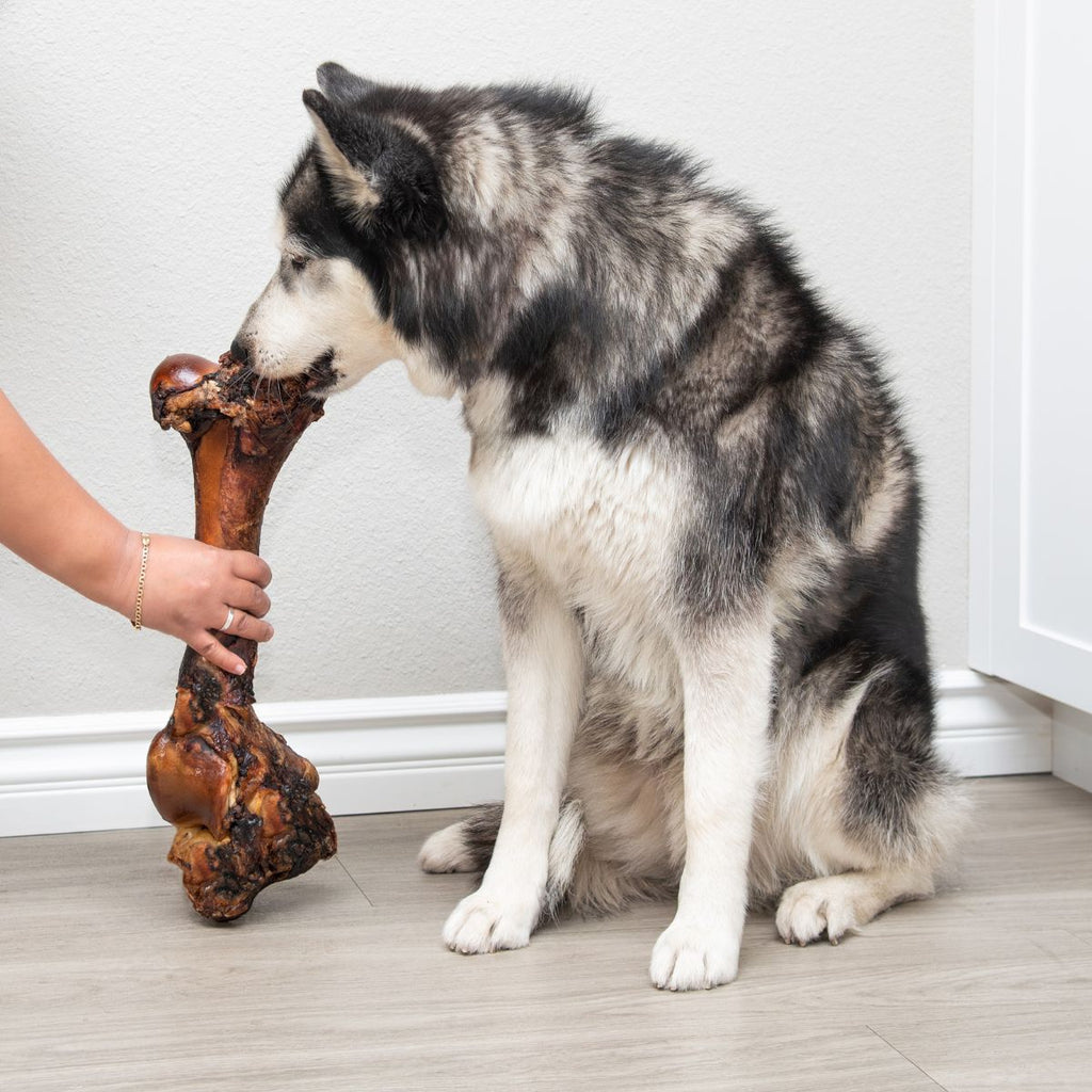 Smoked Beef Marrow Dog Bone product image 3