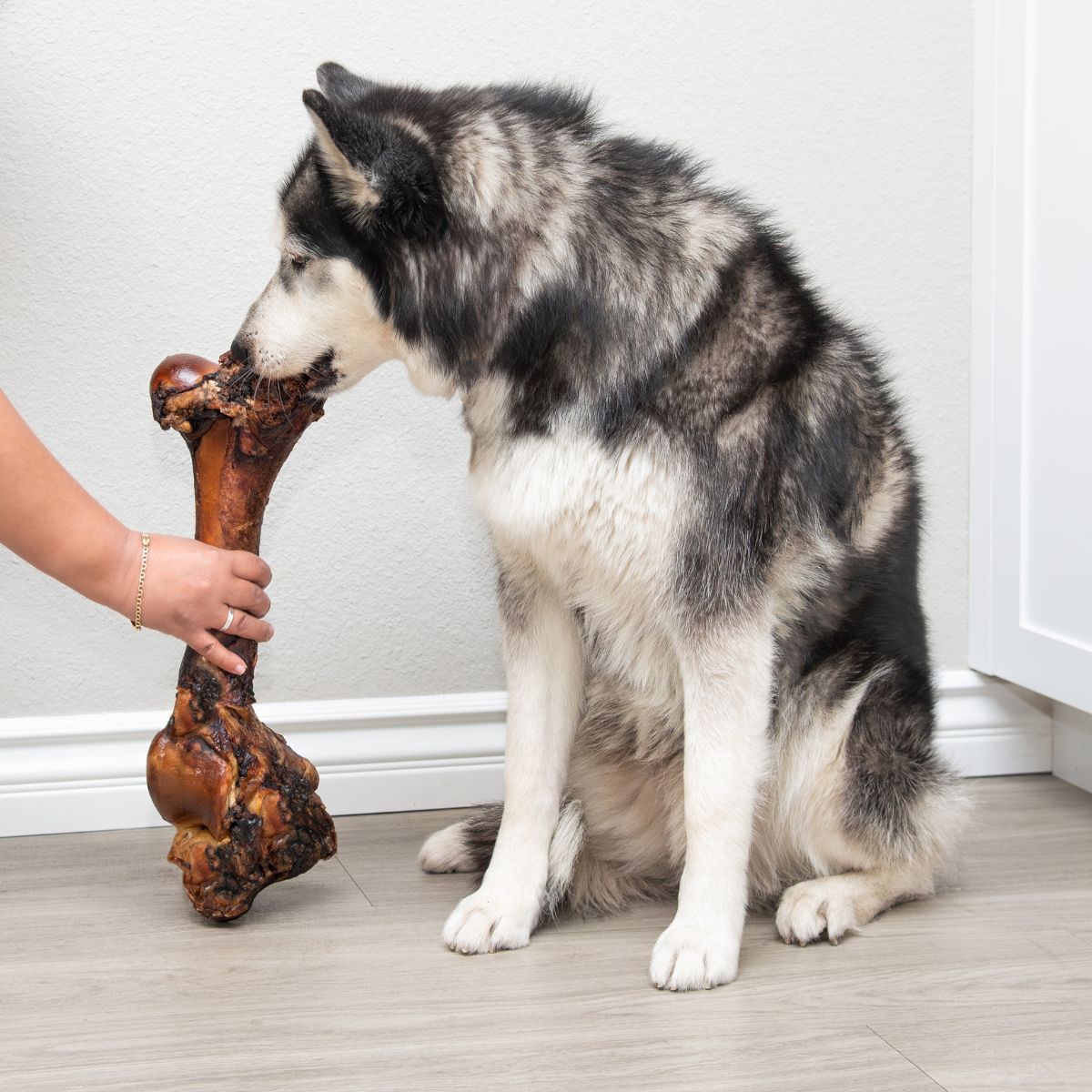 Smoked Beef Marrow Dog Bone product image 3
