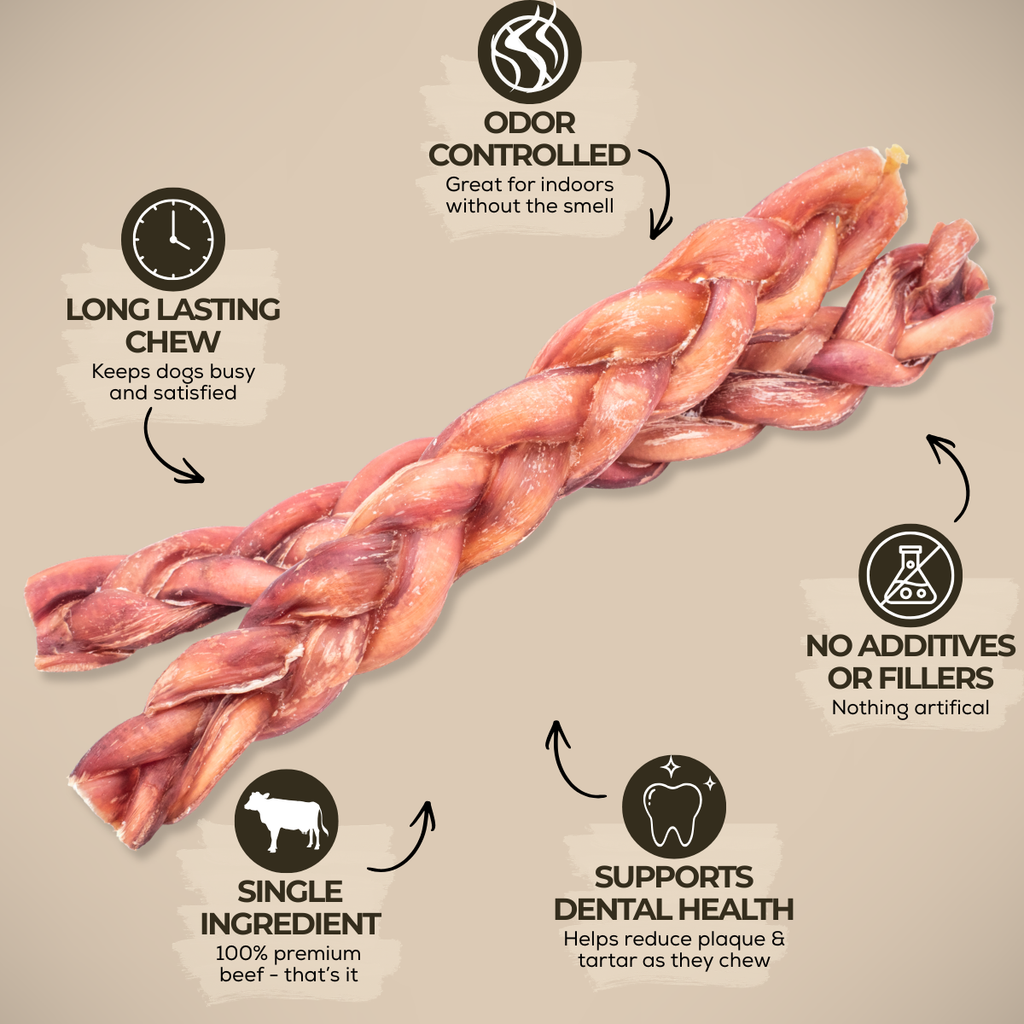 12-Inch Thick Braided Bully Sticks product image 3