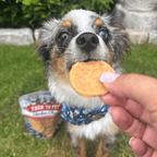 Chicken Chip Dog Treats product image 2