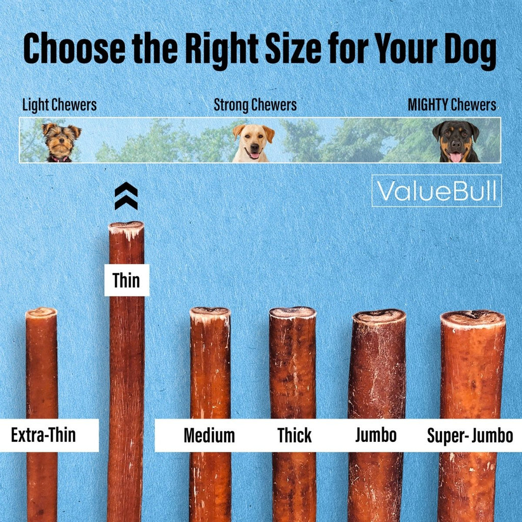 Thin 6-Inch Bully Sticks for Small Dogs product image 3