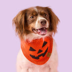 Jack-o’-Lantern Knit Dog Bandana product image 3