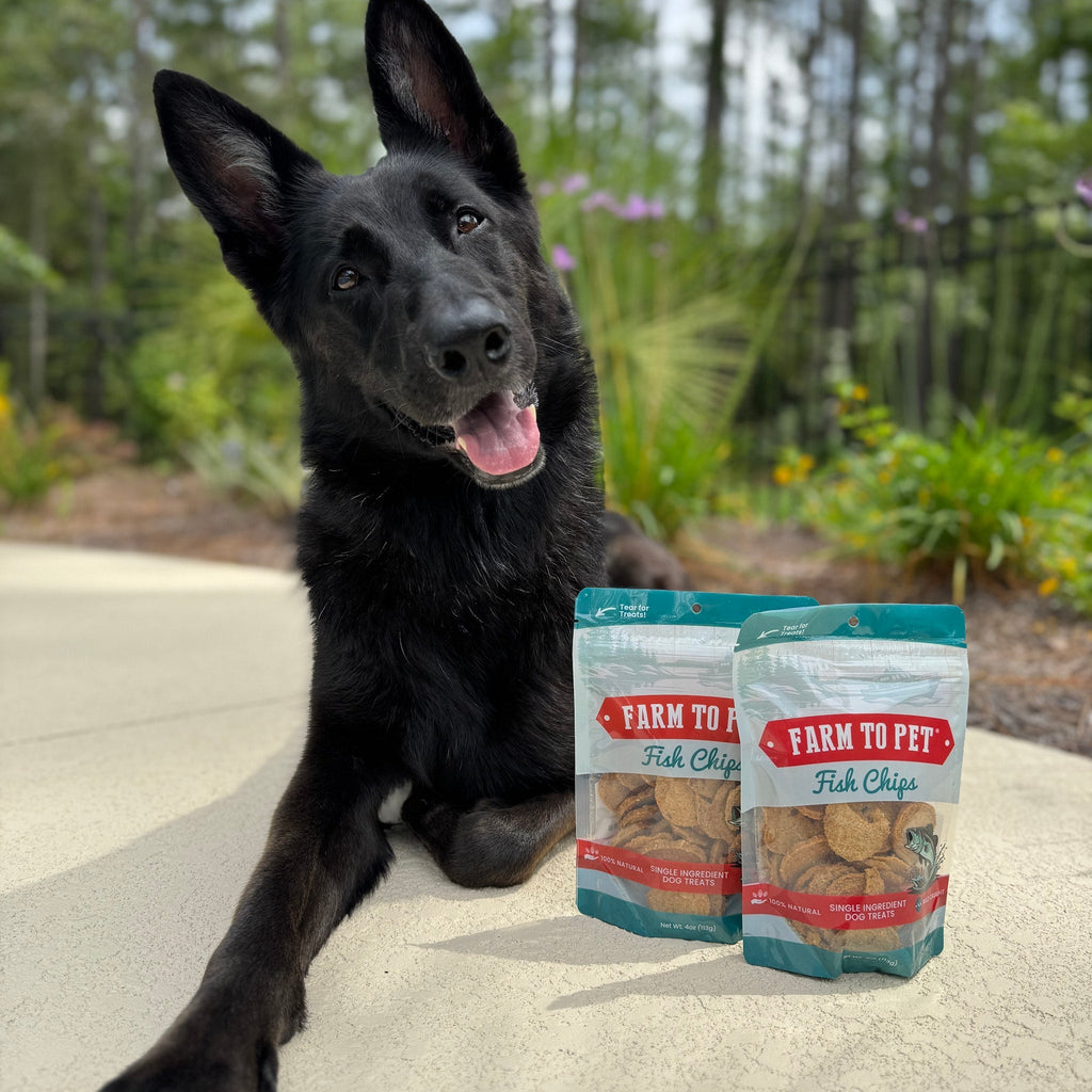 Walleye Fish Chip Dog Treats product image 3