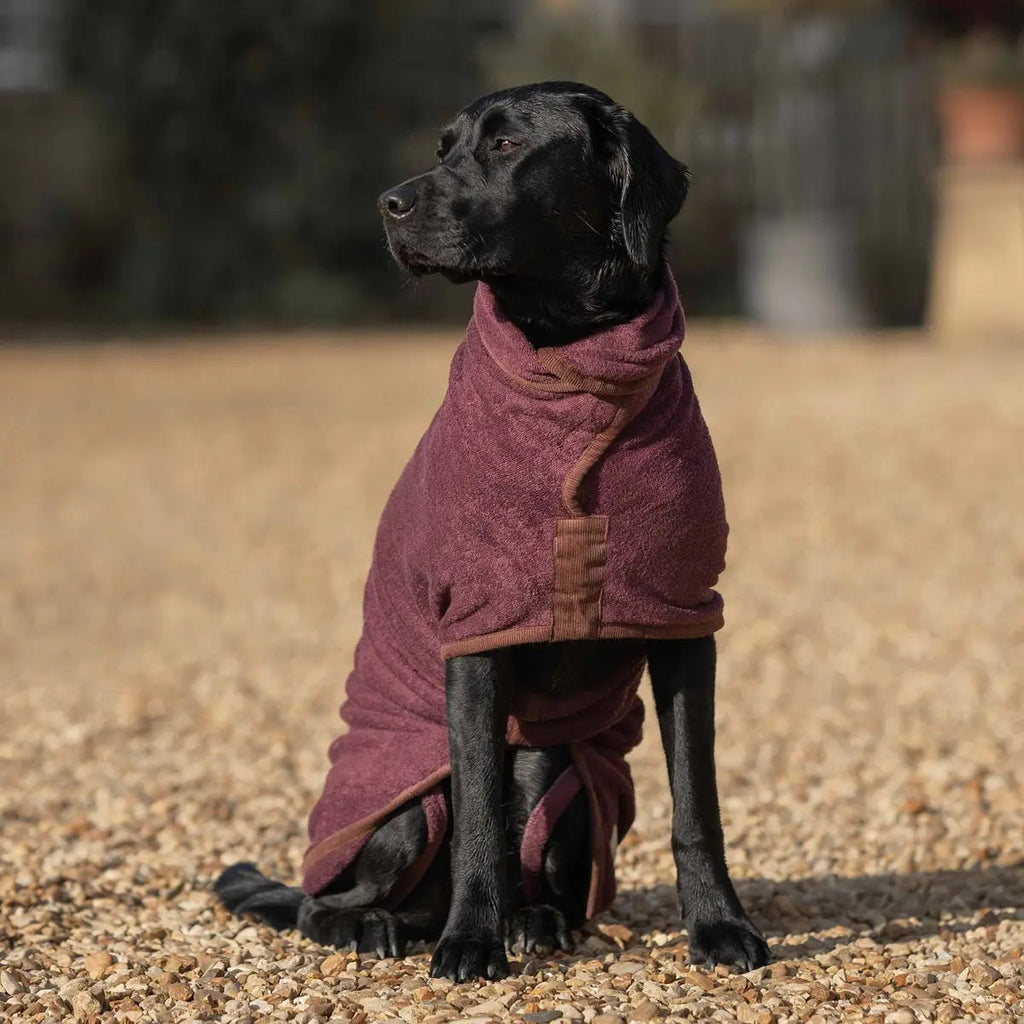 Burgundy Cotton Dog Drying Coat product image 3