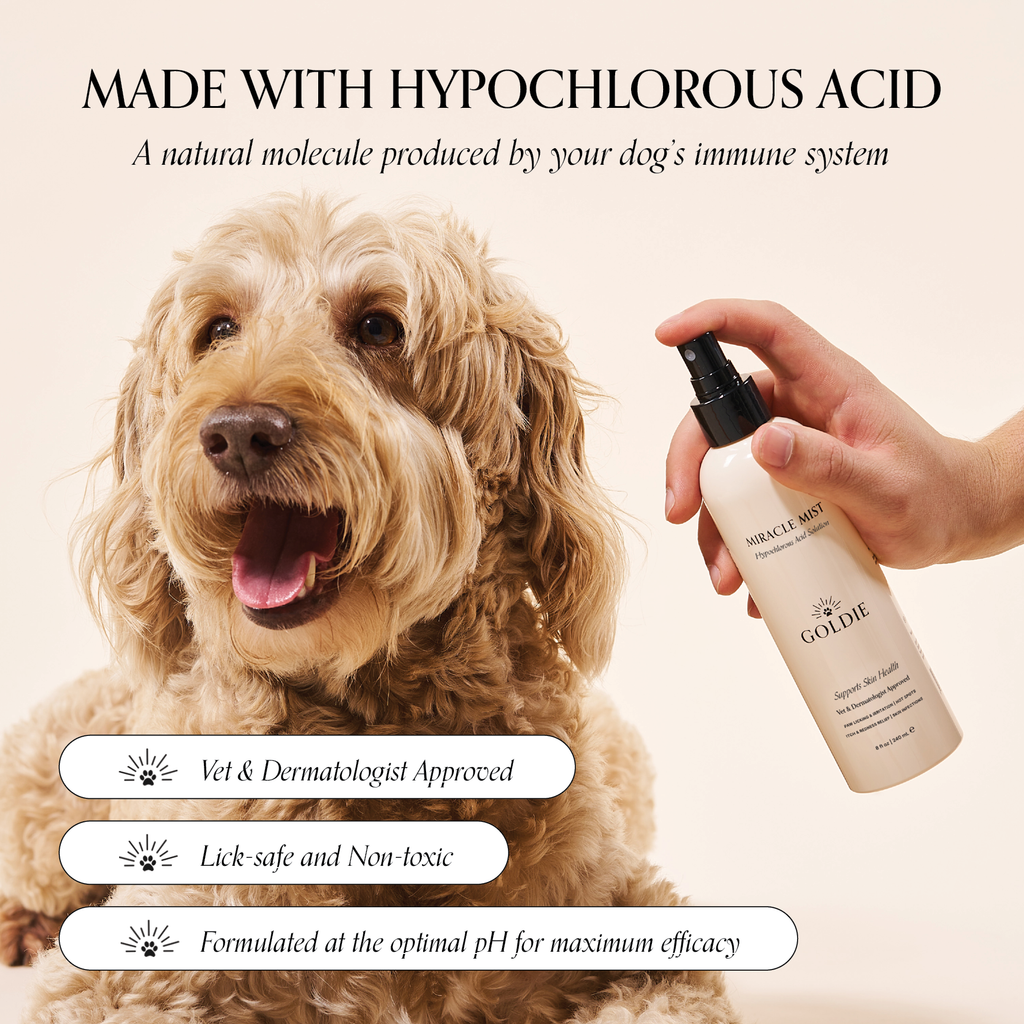 Dog Clean and Calm Care Set product image 3